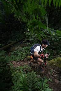 BIB: 
                            <button type="button" onclick="openModal(16030235)" class="btn btn-primary btn-sm float-right btn-popup" data-toggle="modal" data-target=".modal-high-quality">
                        <i class="fas fa-shopping-cart"></i> Add to Cart
                    </button>
                                            <button type="button" onclick="isThisMe(16030235, true)" class="btn btn-success btn-sm float-right btn-popup btn-isme hidden" data-toggle="tooltip" data-placement="bottom" title="นี่คือรูปของคุณใช่ไหม คลิกที่นี่เพื่อเอาเข้าอัลบั้ม">
                        <i class="fas fa-plus"></i> Add to album
                    </button>
                    <button type="button" onclick="isThisMe(16030235, false)" class="btn btn-warning btn-sm float-right btn-popup btn-isnotme hidden">
                        <i class="fas fa-ban"></i> Remove from album
                    </button>